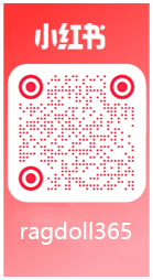 小红书