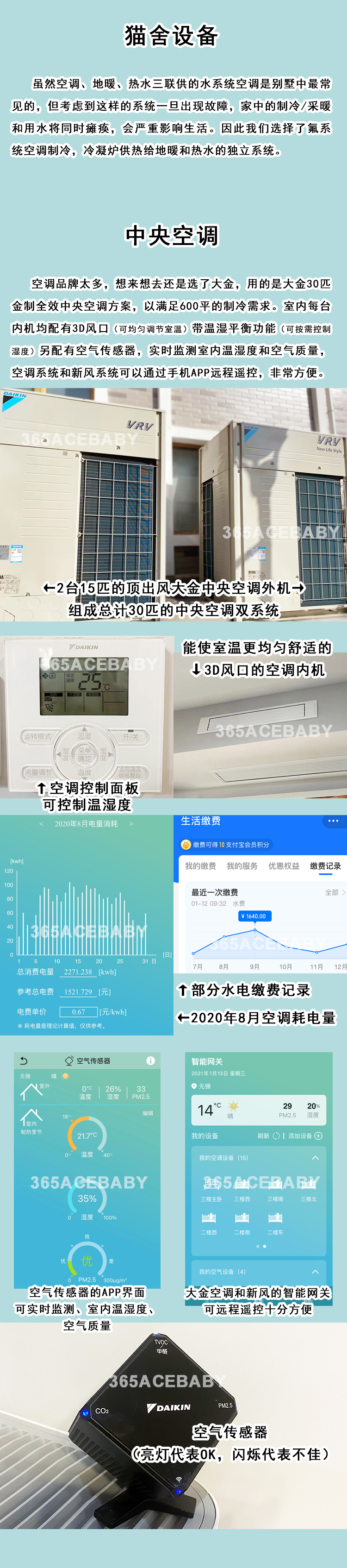 猫舍环境与设备